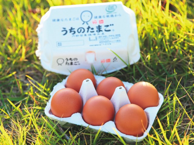 JR九州ファーム株式会社 うちのたまご 内野宿養鶏場生産
