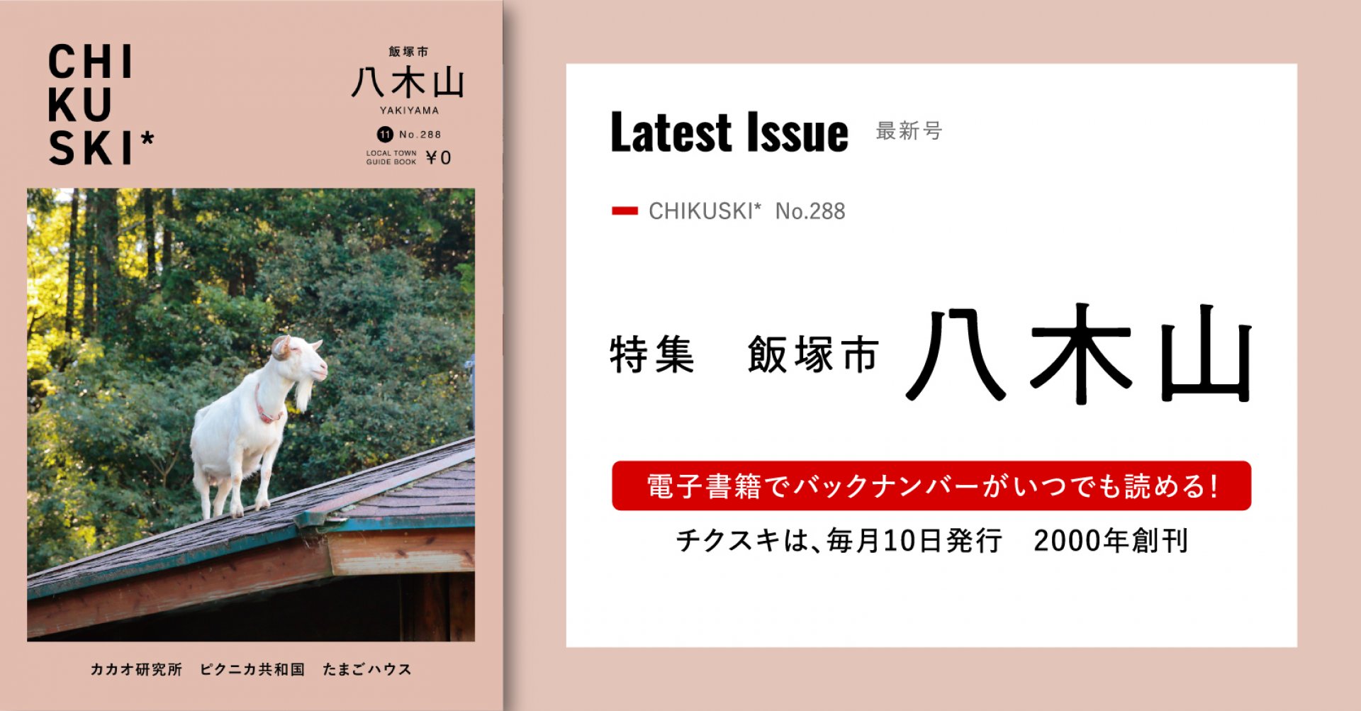 チクスキ288号_八木山特集