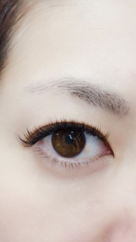 アイラインエクステデザイン
