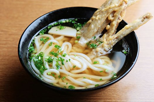 ごぼう天うどん