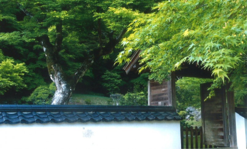 田川のその他 - 藤江氏魚楽園 | チクスキ