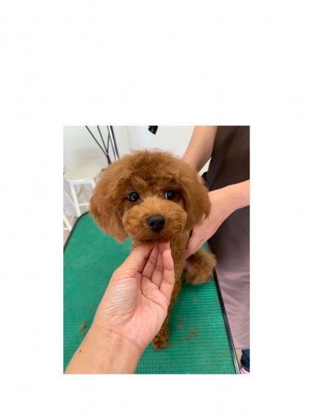 れん♥