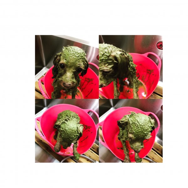 オーガニックバーブパック中