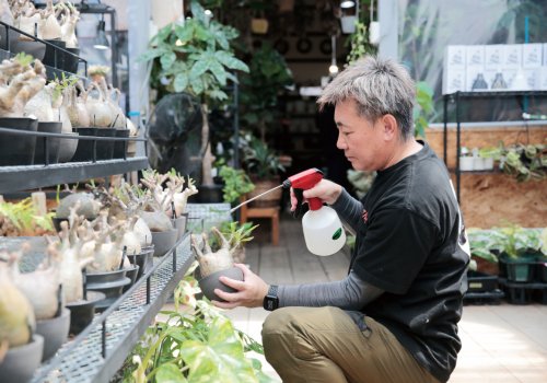 川崎町「KAWASEMI_G@RDEN（カワセミガーデン）」植物と鉢の向こうに 選び、手をかけた人がいる。