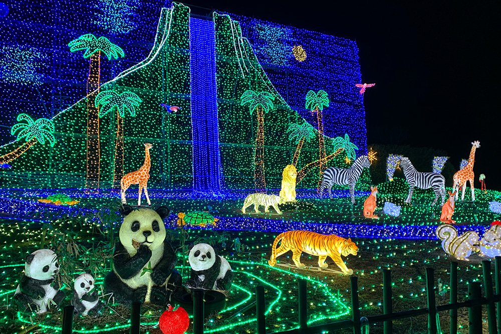 道の駅おおとうのイルミネーション今年のテーマは「夢」｜レポート