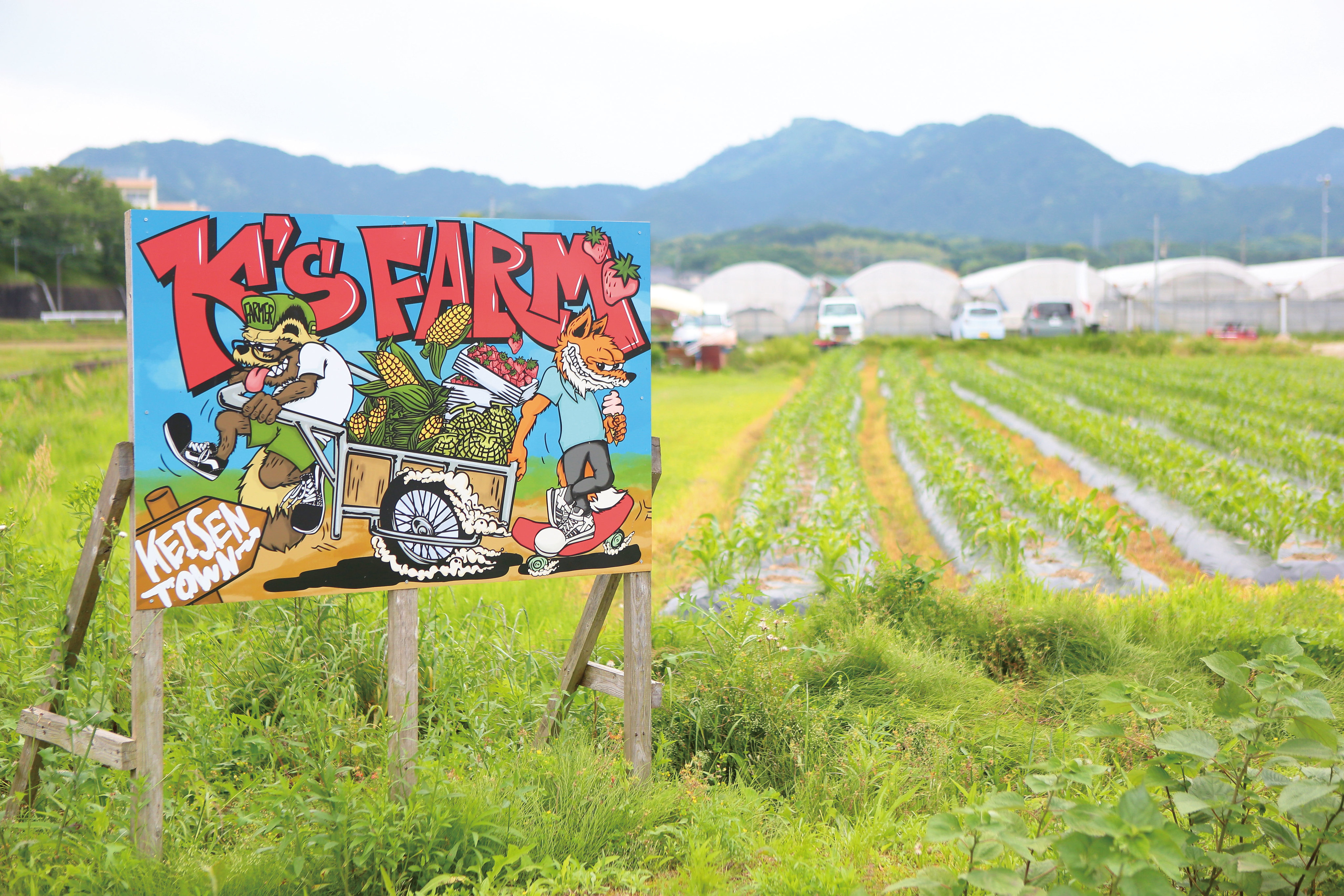 小町ファームページ ネクサスファームおおくま直売所、営業中です！ ｜おおくまStyle｜生活